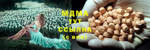 МДПВ Ельня