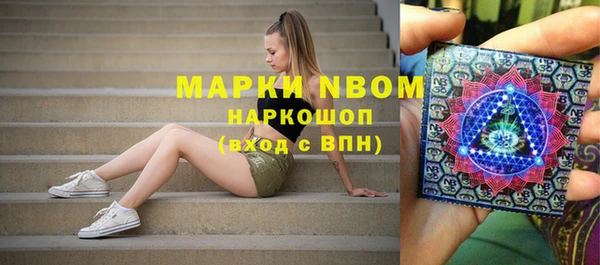 МДПВ Ельня