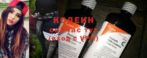 МДПВ Ельня