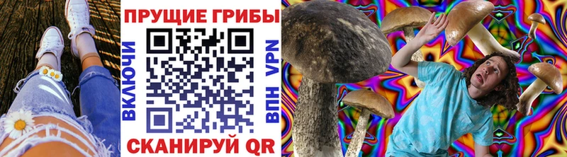цена   Невинномысск  Псилоцибиновые грибы MAGIC MUSHROOMS 